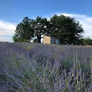  Lodge Cabanon Du Berger